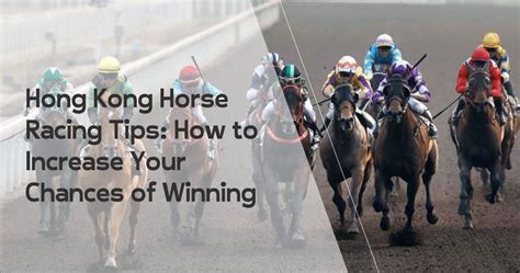hkjc tips|hong kong horse racing tips.